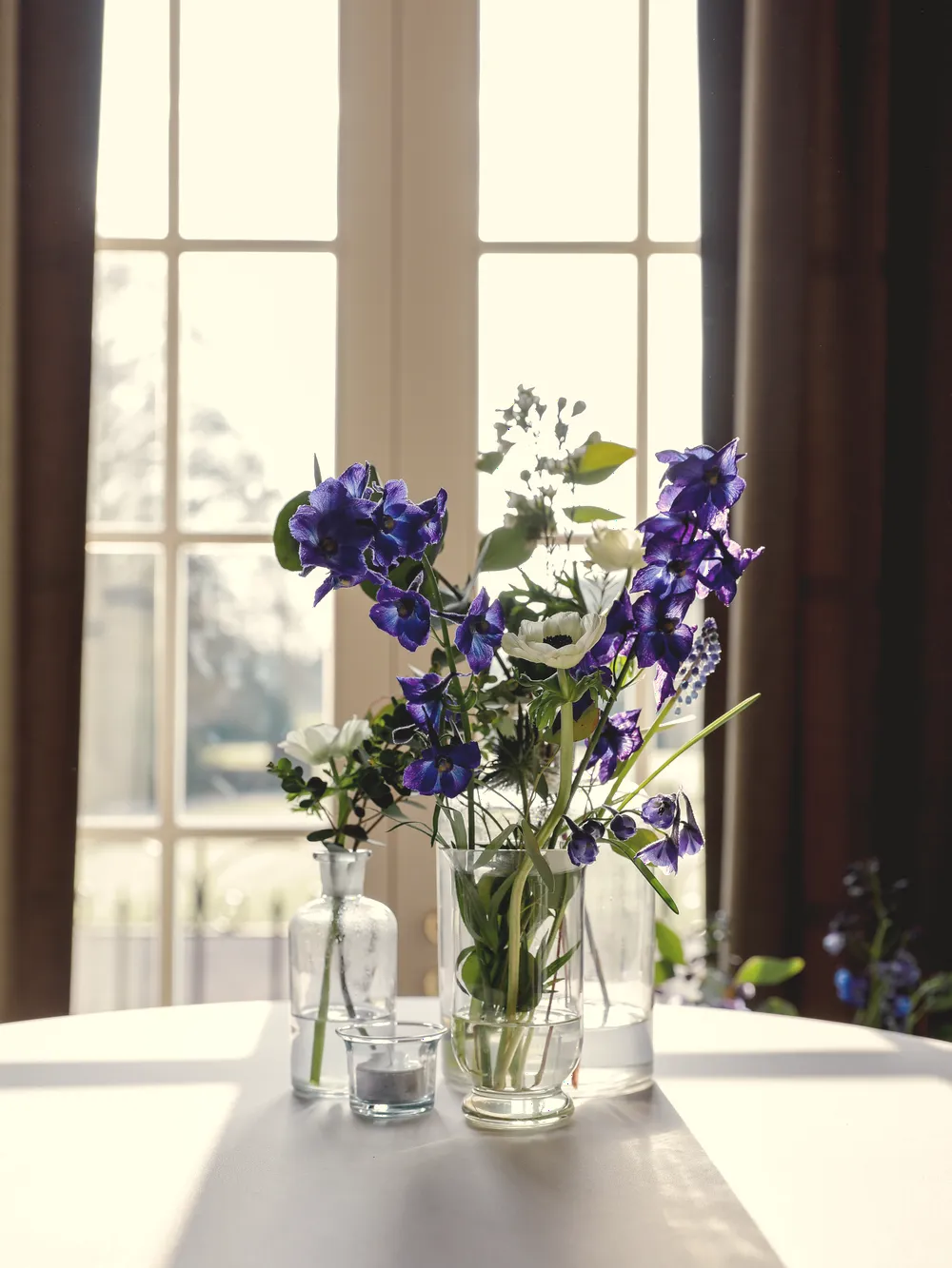 Un bouquet de delphiniums bleus dans un vase, à contre-jour devant une haute fenêtre.